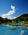 swimming
