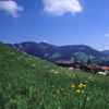 wildschoneau1